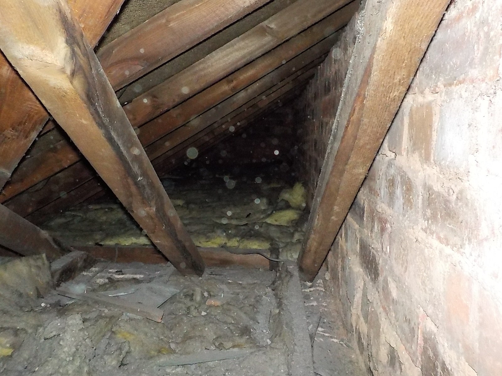 Unsupported roof structure seen on a Homebuyers Survey of a Syston Terrace